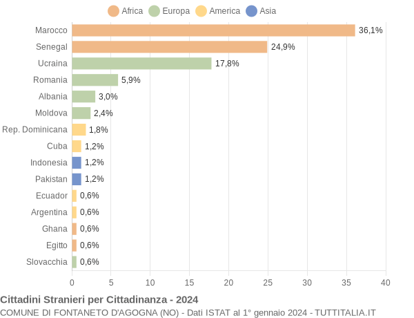 Grafico cittadinanza stranieri - Fontaneto d'Agogna 2024