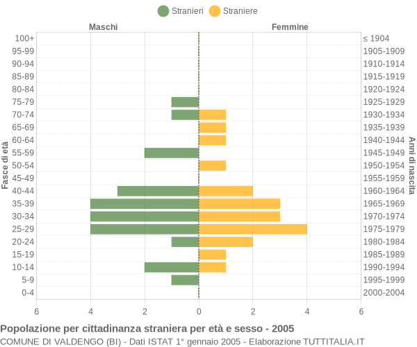 Grafico cittadini stranieri - Valdengo 2005