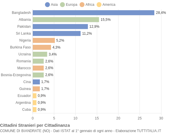 Grafico cittadinanza stranieri - Biandrate 2010