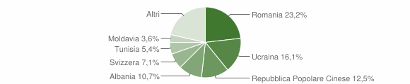 Grafico cittadinanza stranieri - Trontano 2015