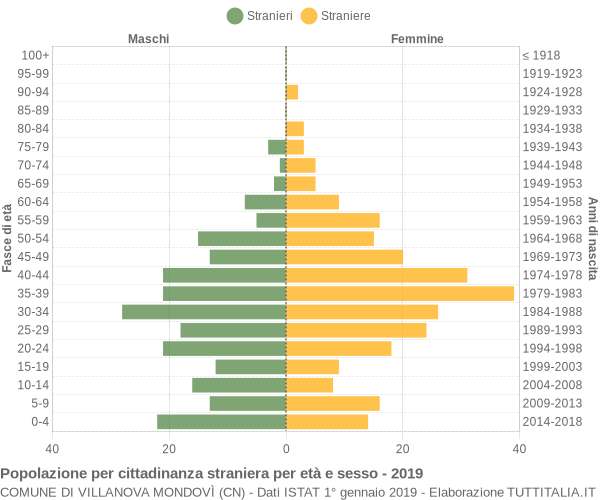 Grafico cittadini stranieri - Villanova Mondovì 2019