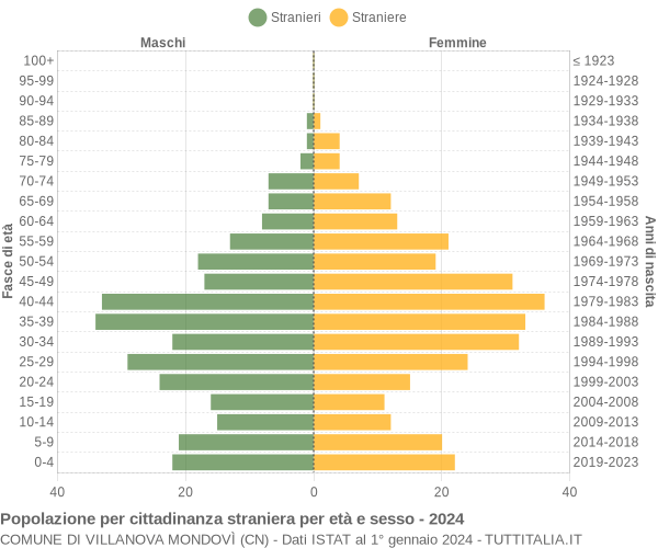 Grafico cittadini stranieri - Villanova Mondovì 2024