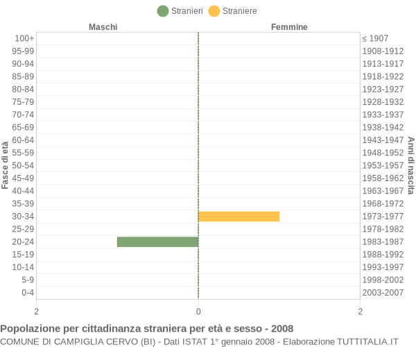 Grafico cittadini stranieri - Campiglia Cervo 2008