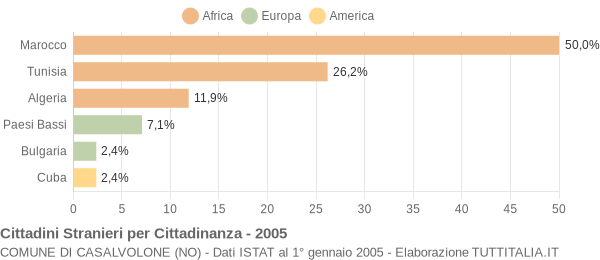 Grafico cittadinanza stranieri - Casalvolone 2005