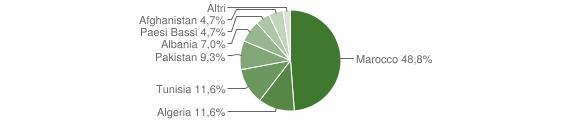 Grafico cittadinanza stranieri - Casalvolone 2011