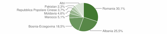 Grafico cittadinanza stranieri - Sanfrè 2015