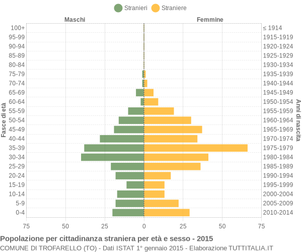 Grafico cittadini stranieri - Trofarello 2015