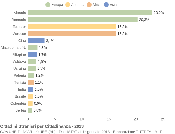 Grafico cittadinanza stranieri - Novi Ligure 2013