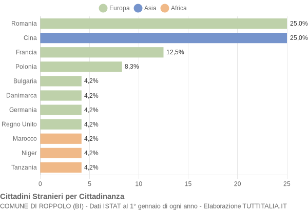 Grafico cittadinanza stranieri - Roppolo 2004