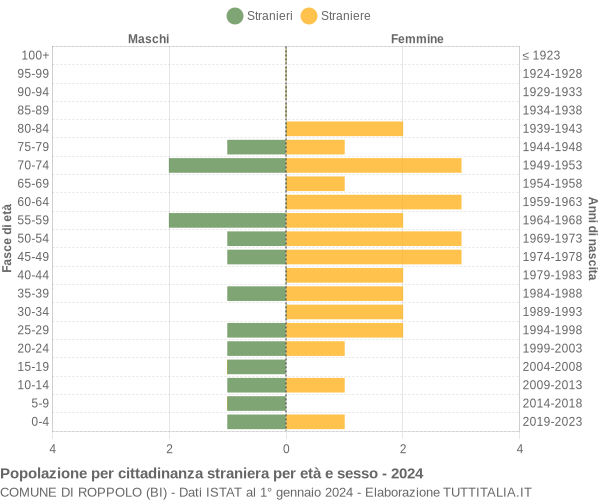 Grafico cittadini stranieri - Roppolo 2024