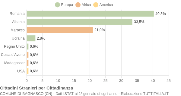 Grafico cittadinanza stranieri - Bagnasco 2011