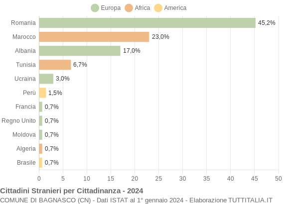 Grafico cittadinanza stranieri - Bagnasco 2024