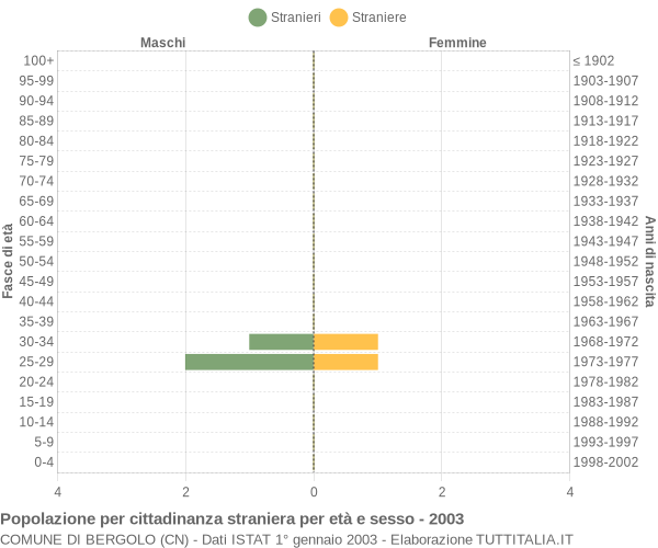 Grafico cittadini stranieri - Bergolo 2003