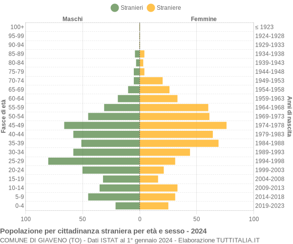 Grafico cittadini stranieri - Giaveno 2024