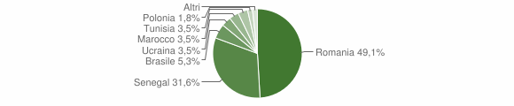 Grafico cittadinanza stranieri - Arborio 2005