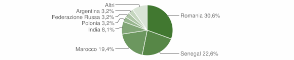 Grafico cittadinanza stranieri - Arborio 2012