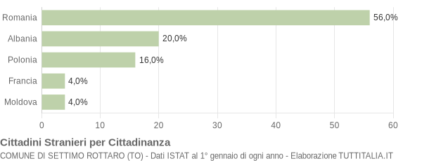 Grafico cittadinanza stranieri - Settimo Rottaro 2010