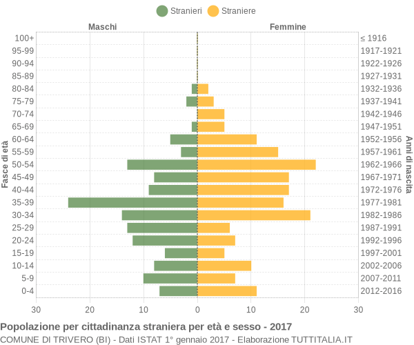 Grafico cittadini stranieri - Trivero 2017