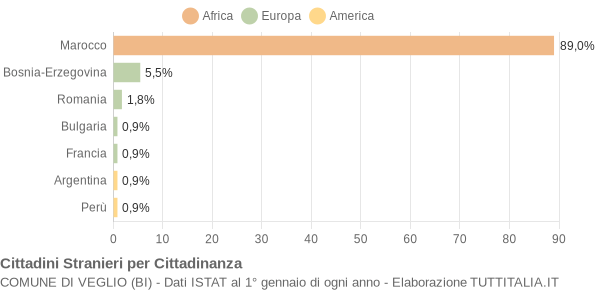 Grafico cittadinanza stranieri - Veglio 2004