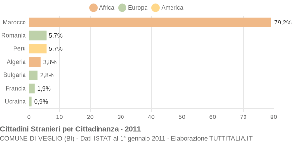 Grafico cittadinanza stranieri - Veglio 2011