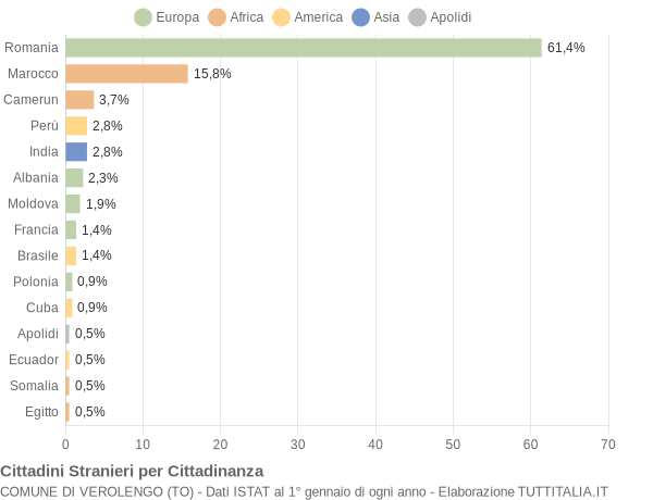 Grafico cittadinanza stranieri - Verolengo 2013