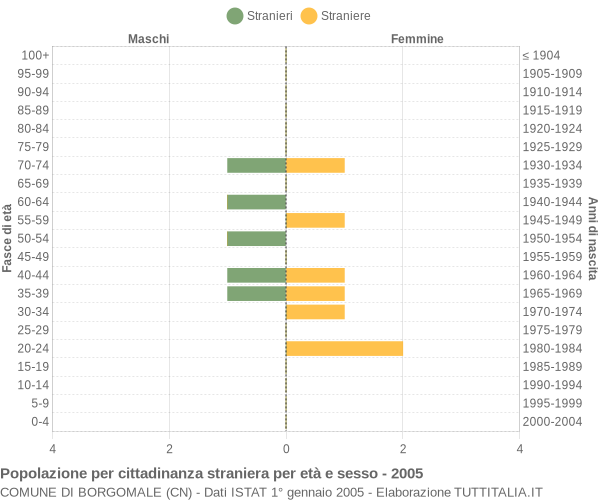 Grafico cittadini stranieri - Borgomale 2005