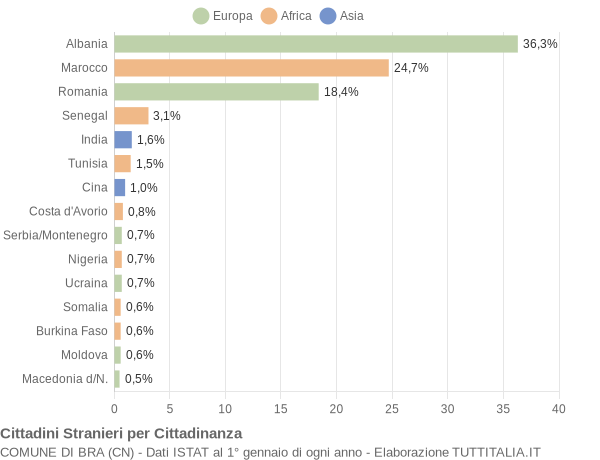 Grafico cittadinanza stranieri - Bra 2008