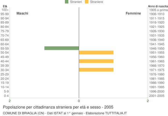 Grafico cittadini stranieri - Briaglia 2005