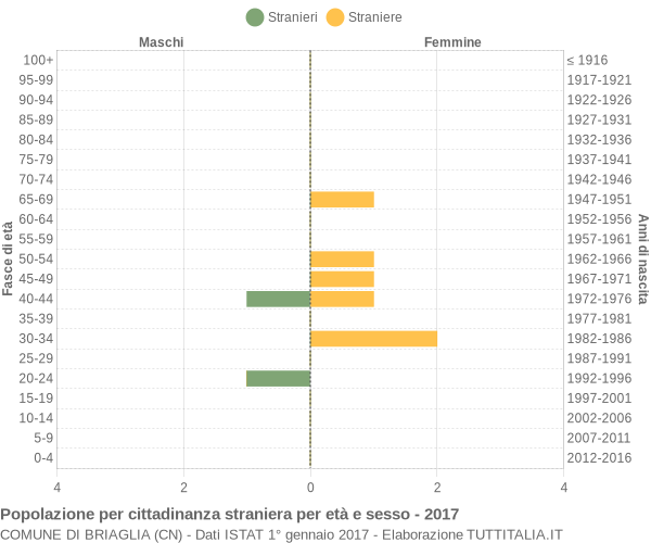 Grafico cittadini stranieri - Briaglia 2017