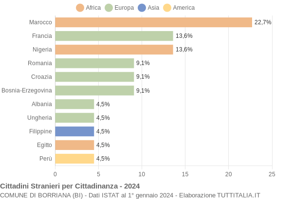 Grafico cittadinanza stranieri - Borriana 2024