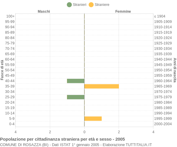 Grafico cittadini stranieri - Rosazza 2005