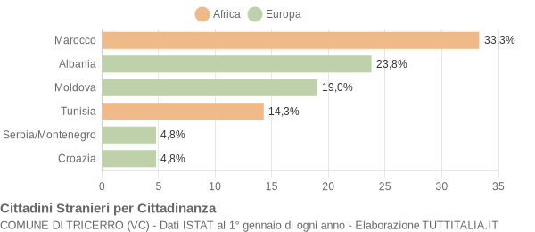 Grafico cittadinanza stranieri - Tricerro 2006