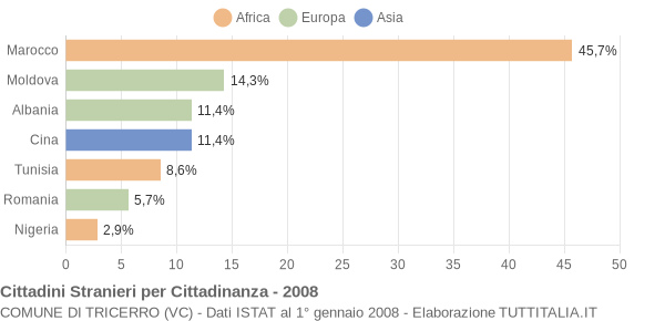 Grafico cittadinanza stranieri - Tricerro 2008