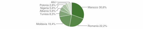 Grafico cittadinanza stranieri - Tricerro 2011