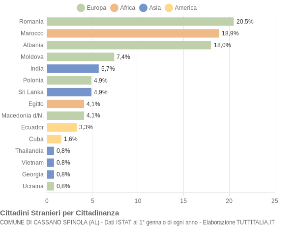 Grafico cittadinanza stranieri - Cassano Spinola 2013