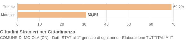 Grafico cittadinanza stranieri - Moiola 2004