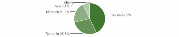 Grafico cittadinanza stranieri - Moiola 2010