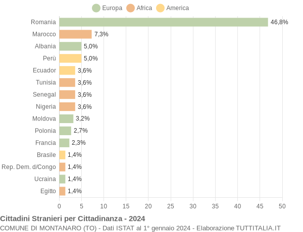 Grafico cittadinanza stranieri - Montanaro 2024