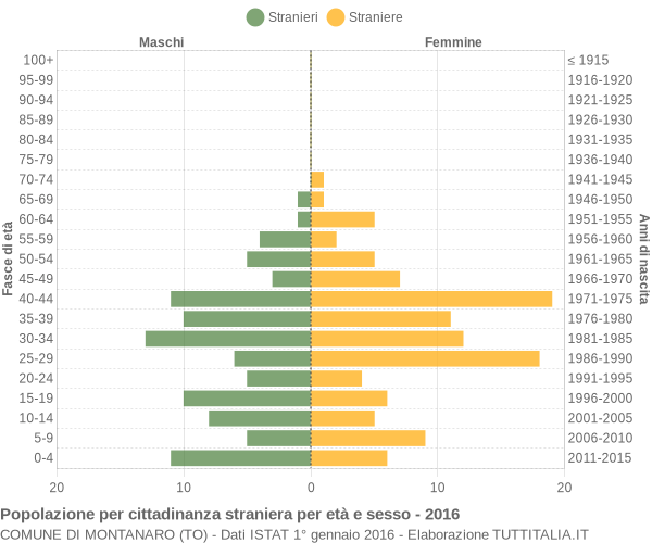 Grafico cittadini stranieri - Montanaro 2016