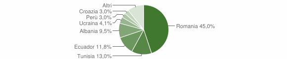 Grafico cittadinanza stranieri - Volpedo 2014