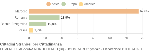 Grafico cittadinanza stranieri - Mezzana Mortigliengo 2004