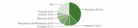 Grafico cittadinanza stranieri - Gavi 2010