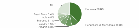 Grafico cittadinanza stranieri - Gavi 2012