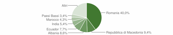 Grafico cittadinanza stranieri - Gavi 2013