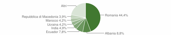 Grafico cittadinanza stranieri - Gavi 2014