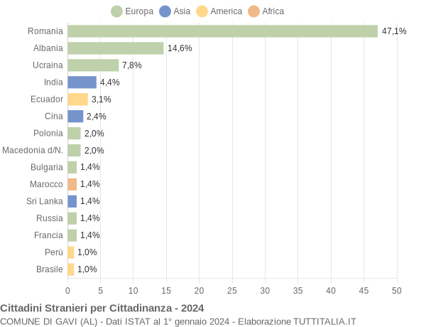 Grafico cittadinanza stranieri - Gavi 2024