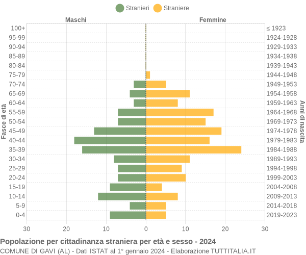 Grafico cittadini stranieri - Gavi 2024