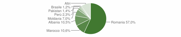 Grafico cittadinanza stranieri - Leini 2013