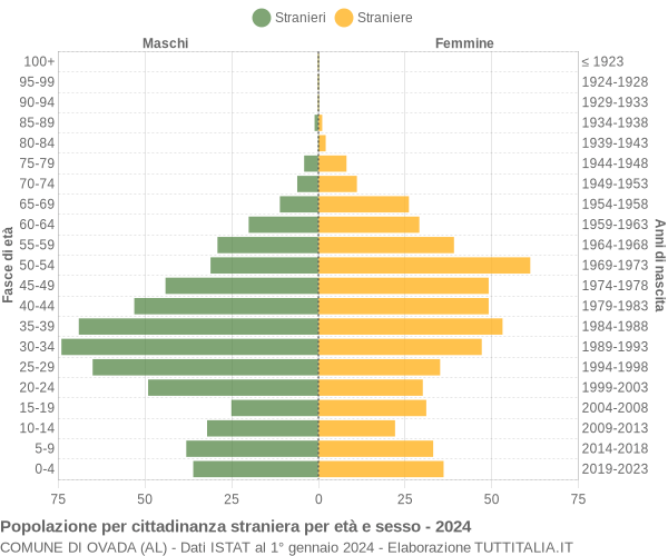 Grafico cittadini stranieri - Ovada 2024