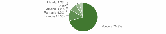 Grafico cittadinanza stranieri - Perrero 2007